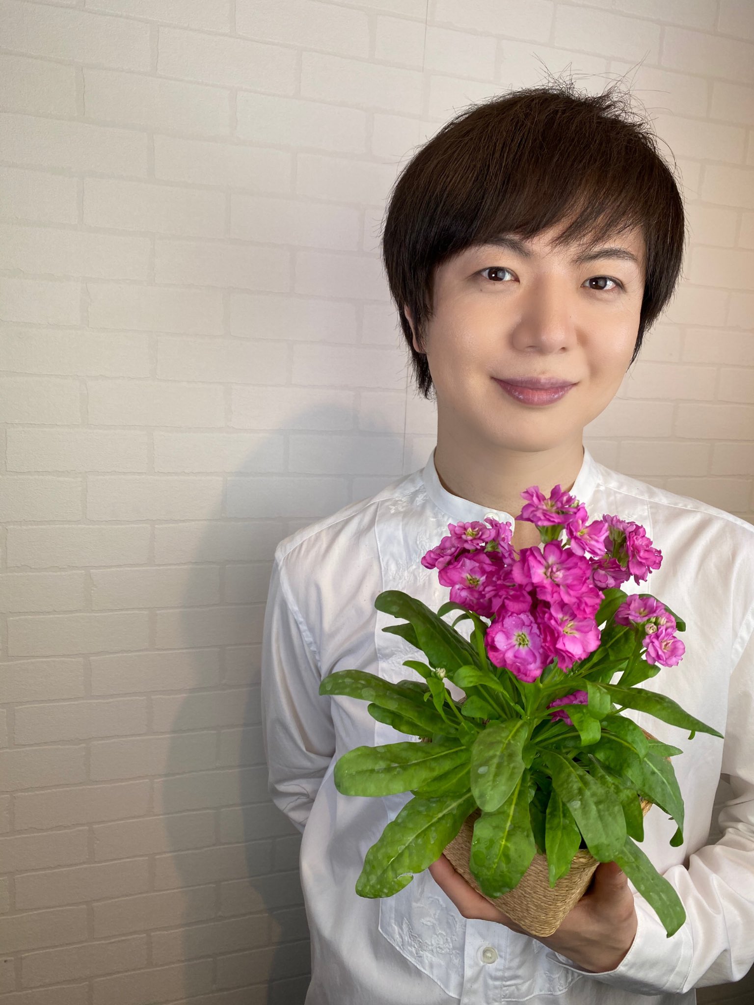 竹島宏スタッフ 公式 ストック 花言葉は 愛情の絆 素敵な花言葉ですね 心が動き絆が生まれる 東京は冷たい雨空だった でもこんな元気な花を見て いるときの気持ちは秋晴れ 今日も１日お疲れ様でした ひろネット 花便り 花言葉 花