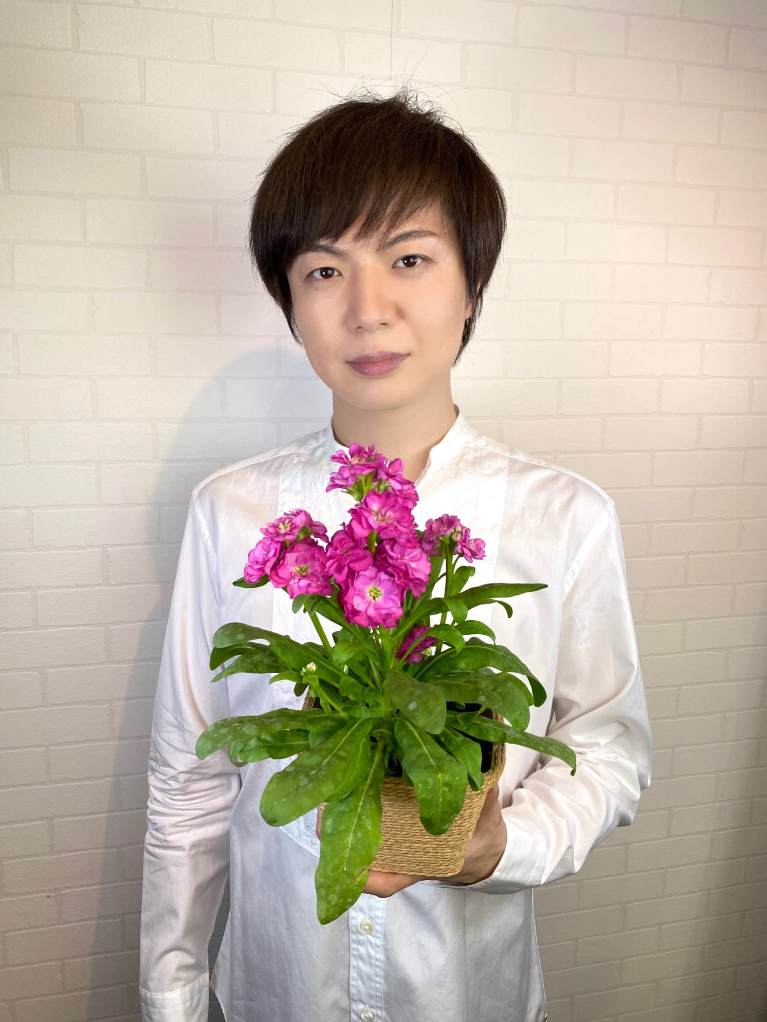 竹島宏スタッフ 公式 ストック 花言葉は 愛情の絆 素敵な花言葉ですね 心が動き絆が生まれる 東京は冷たい雨空だった でもこんな元気な花を見て いるときの気持ちは秋晴れ 今日も１日お疲れ様でした ひろネット 花便り 花言葉 花