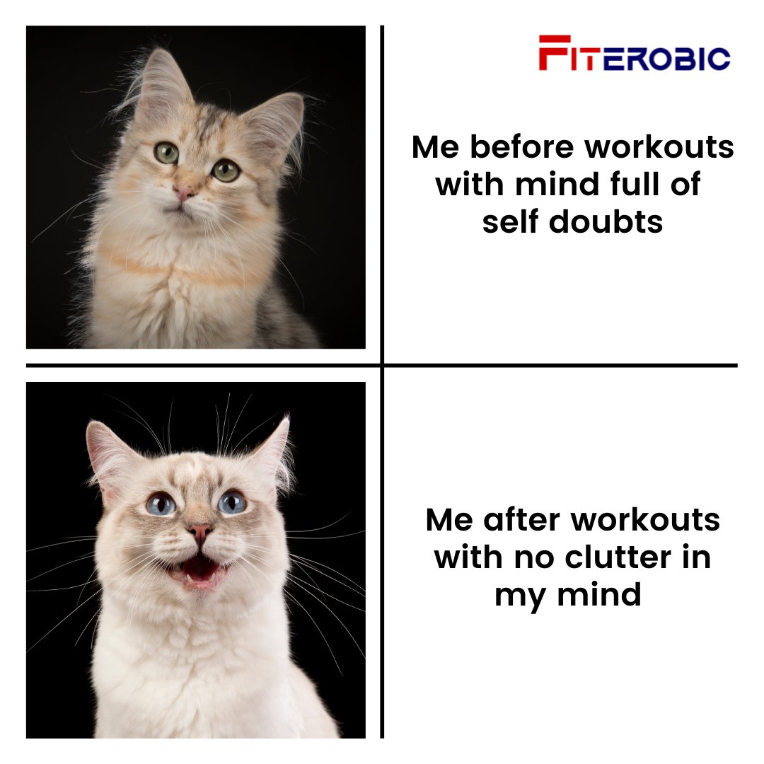 fiterobic's tweet photo. Use this Sunday to plan your week ahead. Chart the workouts you would include in your routine and plan your work in advance.
#fiterobic #fiterobics #fitfam #fitnesspage #fitnesslovers #fitnessfreaks #fitnesscoach #fitnessmeme #memes #catmeme #memefun #funnymeme https://t.co/t6XYR7Lac4
