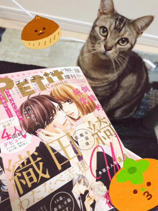 お知らせただ今発売中のプチコミック増刊秋号に猫ショート「にゃんDK」掲載して頂いてます。おこわのモーニングルーティン回ですよろしくお願いします 