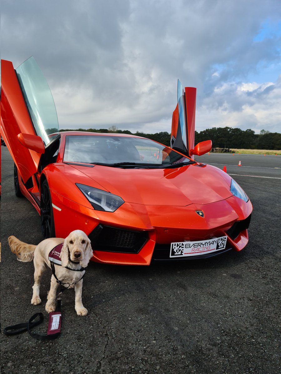 Lisa Baldock MBE (@deafielisa) on Twitter photo <a href="/EverymanRacing/">Everyman Racing Driving Experiences</a> thank you for your hospitality for my hubbys 50th birthday car experience. Although Mr Lima had more fun! <a href="/deafielisa/">Lisa Baldock MBE</a> <a href="/HearingDogs/">Hearing Dogs for Deaf People</a> <a href="/EverymanRacing/">Everyman Racing Driving Experiences</a> thank you for your hospitality for my hubbys 50th birthday car experience. Although Mr Lima had more fun! <a href="/deafielisa/">Lisa Baldock MBE</a> <a href="/HearingDogs/">Hearing Dogs for Deaf People</a>