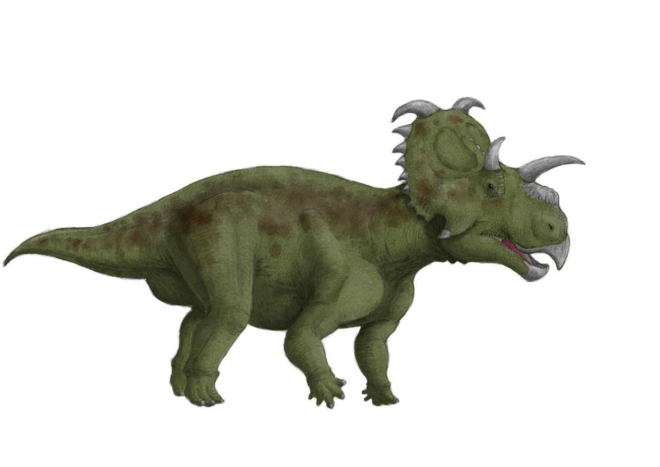 kta(けーた)_腰がジワっとイタイ系 on Twitter 