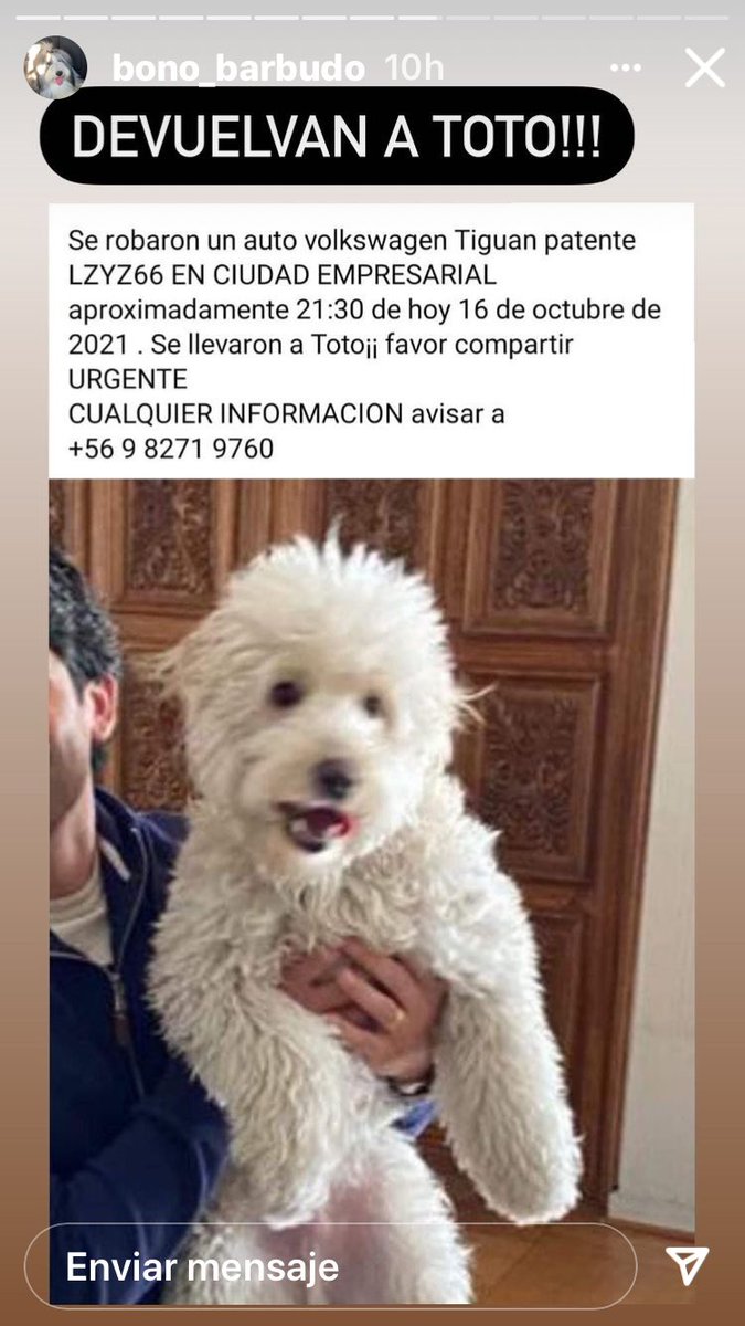 Devuelvan a TOTO!!!robo de auto con el  🐕 dentro! 56982719760!! Yo solo ayudo a difundir!! Más detalles no tengo ! Porfa Rt Rt gracias 😊