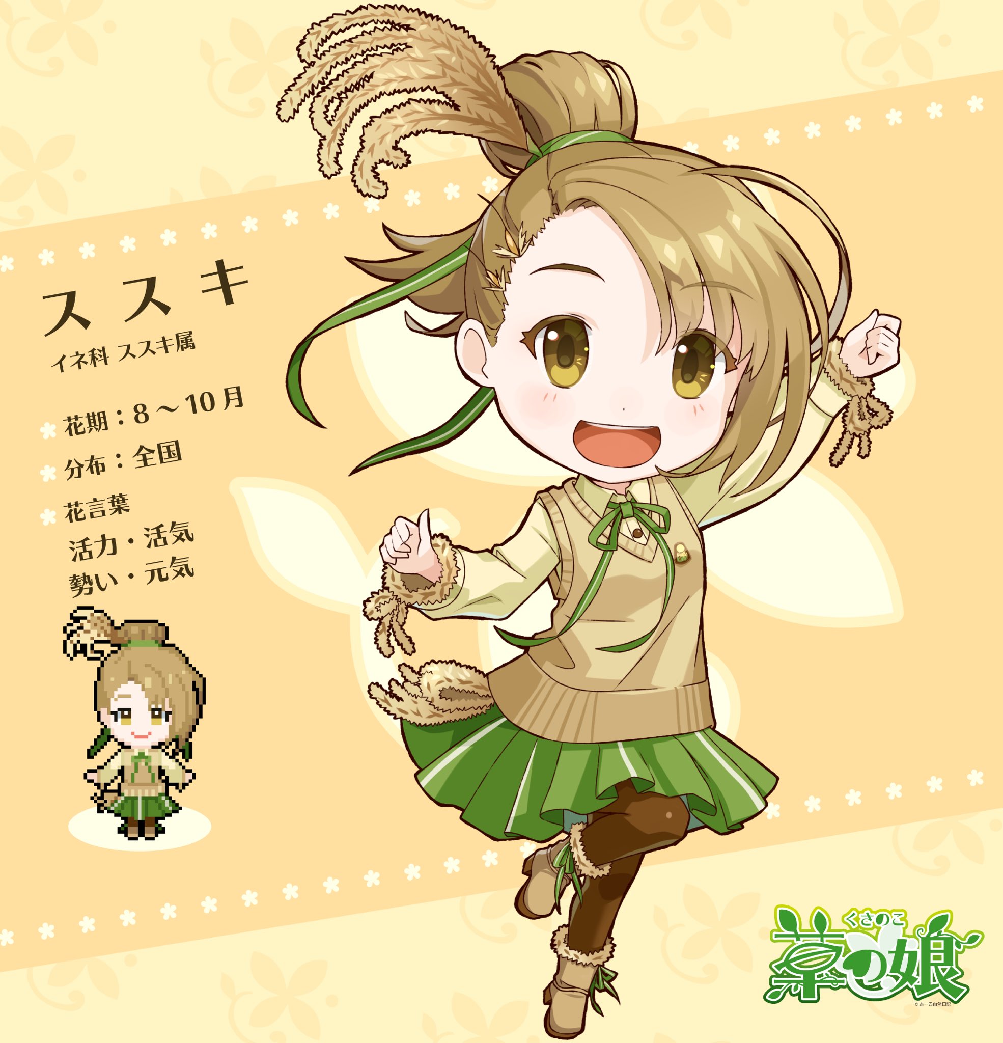 あーる自然日記 草の娘 ススキ 秋の七草のひとつで お月見で稲穂の代わりと魔除けとして用いられる 名前の由来は スス がすくすく育つ意味で キ が茎でススキと付けられたそう 草の娘 秋の七草 ススキ T Co Wvugt0jan0 Twitter