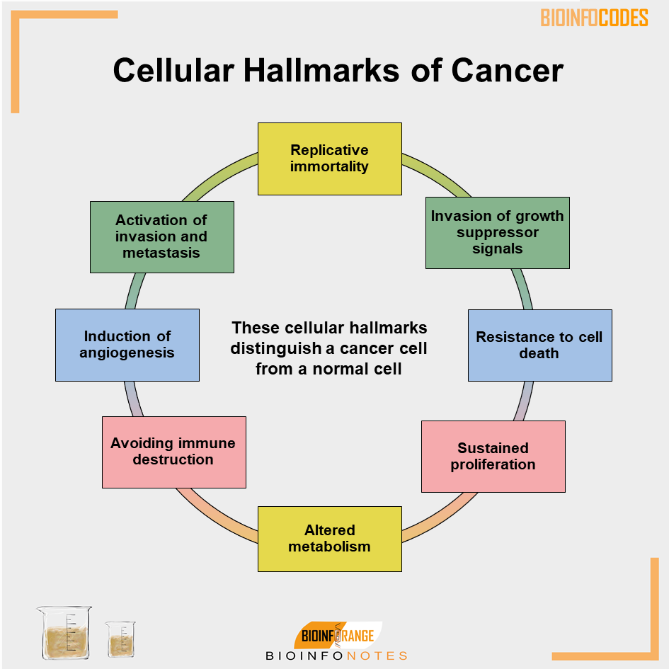 Our new #bioinfonotes about the Cellular Hallmarks of Cancer has been published! #cancer #immortality #tumorsuppresors #cellcycle #celldeath #proliferation #immunesystem #angiogenesis #metastasis #biologynotes #science
