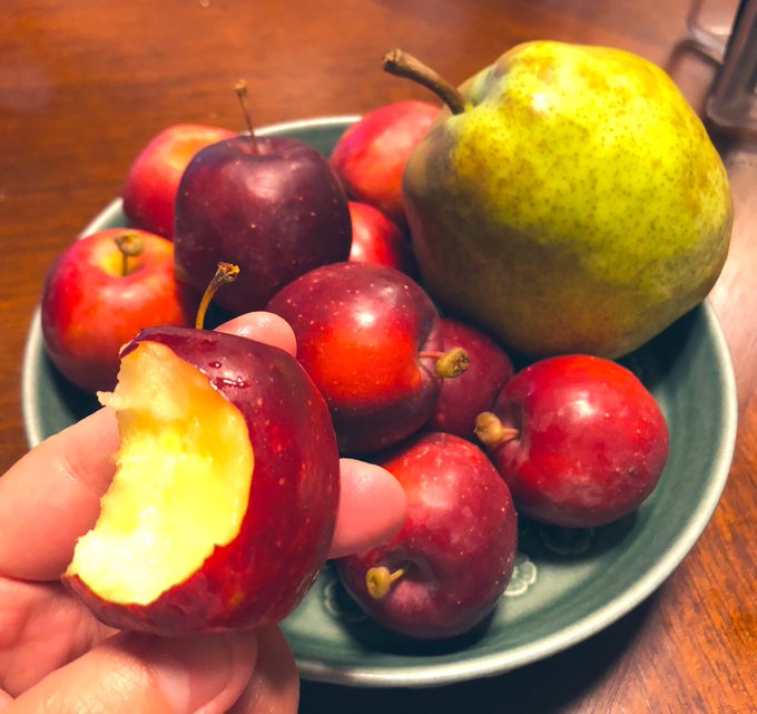 ラ フランスのtwitterイラスト検索結果