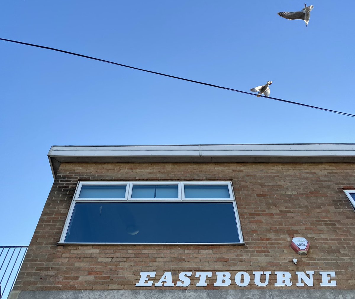 More seaside typography gorgeousness <a href="/DesignMuseum/">the Design Museum</a> <a href="/JburnsDesign/">Justin Burns</a> #fontsunday #Eastbourne