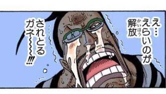 元ネタ🐊🐊🐊 