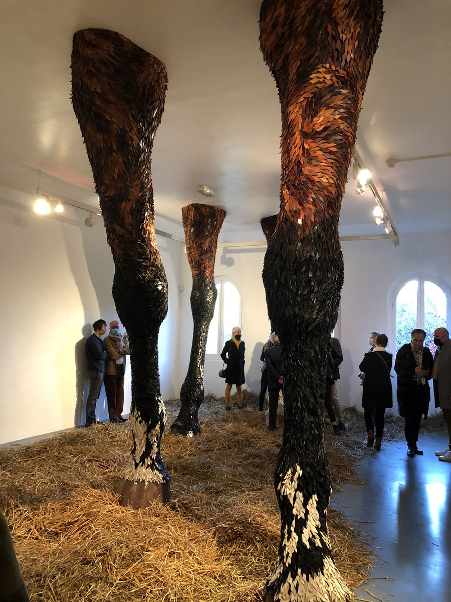 isabelleleroy4's tweet photo. Une journée sur le thème du #cheval avec des rencontres et des moments incroyables : notre champion @nicolastouzaint, les musicales du @le_cadre_noir , la très belle exposition #artcheval en collaboration artistique avec @fontevraud , la rencontre avec l’#IFCE ….#culture #sport https://t.co/v88q1gpci8