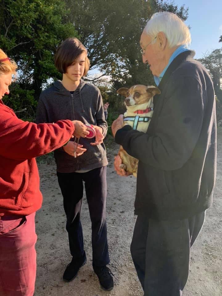 The Company of Dogs tweet media