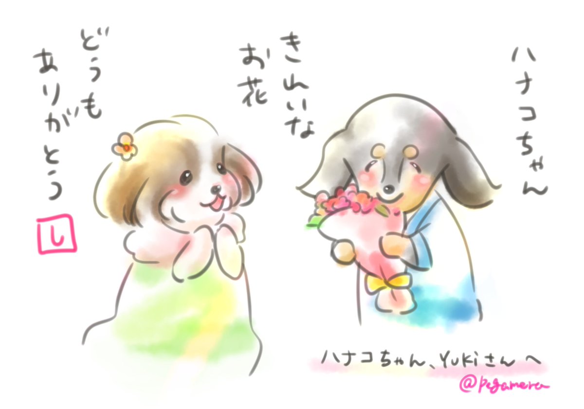 ペガメラ しーのごあいさつ回り 簡単なイラストですが しーの旅立ちを支えてくださった方々へ お礼をしていきたいなと思っています ハナコちゃん Yukiさん お花を送ってくれてありがとう しー ちとが降らせたお花でね 花束作ったから ペガメラ しーのごあいさつ回り 簡単なイラストですが しーの旅立ちを支えてくださった方々へ お礼をしていきたいなと思っています ハナコちゃん Yukiさん お花を送ってくれてありがとう しー ちとが降らせたお花でね 花束作ったから