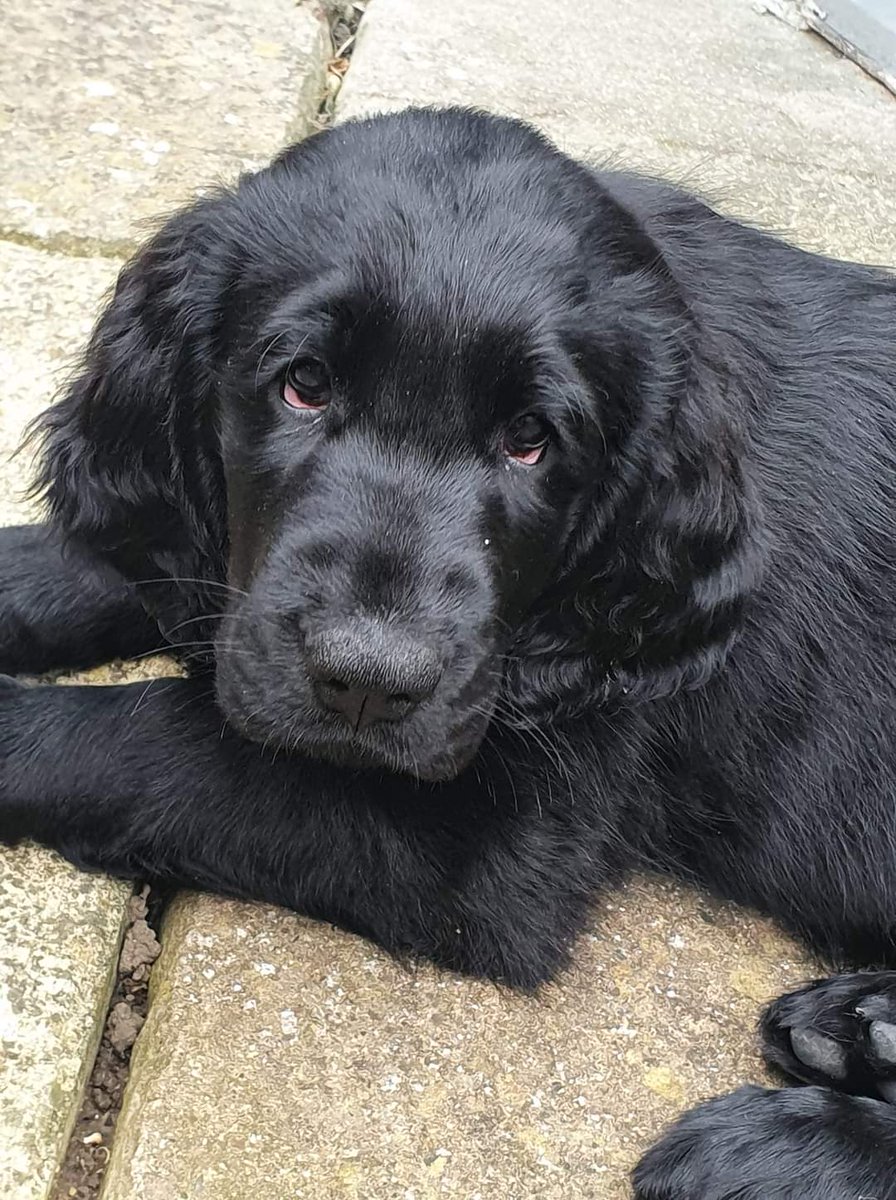 🎙Steve🎙 tweet media