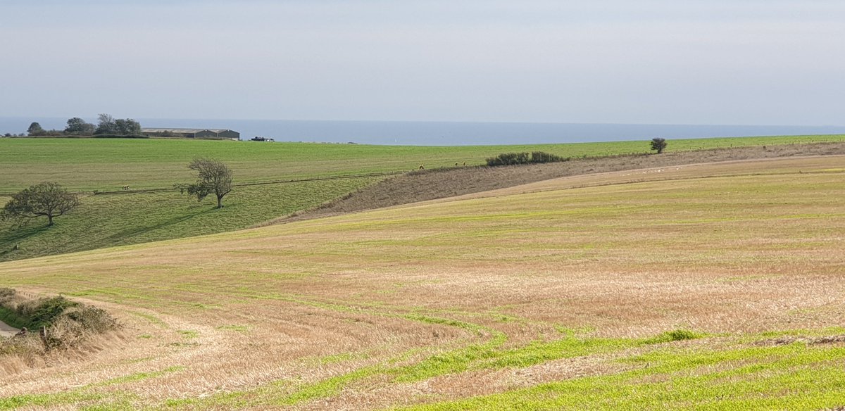 RGSdofe's tweet photo. Steyning Bowl checkpoint gives great views of incoming groups. Sunny weather. https://t.co/Xm8z007RaF
