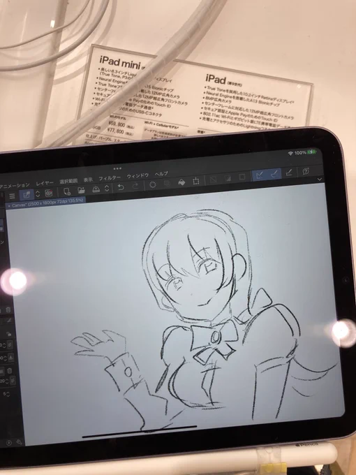 家電量販店のiPad miniで落書き。やっぱ描きやすいなーデジタル。左手埋まるから不便だけどアナログよりかはマシかな 