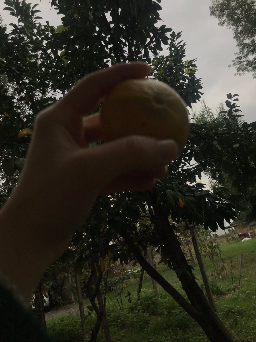 Bu bir ekim günüdür.
Bulut kümeleri birbirinin üstüne yığılıyor. Hafiften çiseleyen yağmur ve elimde mandalina kokusu..