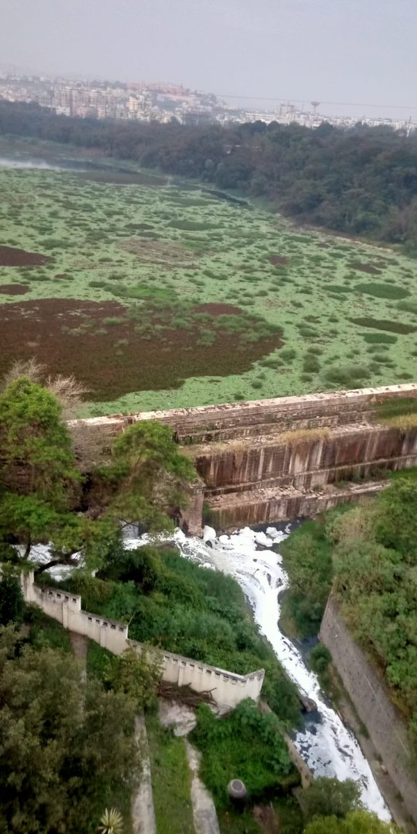 yashiscool's tweet image. पेशवे कालीन कात्रज तलाव. अतिशय वाईट परिस्थिती झाली आहे. ओपन सेफ्टी टॅंक झाला आहे. महानगर पालिकेने केलेला एक दुर्लक्षित भाग. ड्रेनेज चा वास ने त्रस्त झालेले लोक.
आता तरी महानगर पालिकेने लक्ष द्यावे. @CMOMAHARASHTRA #PMCPune #PMC #पुणे_महानगरपालिका #SwachhBharat #SwachhSurvekshan