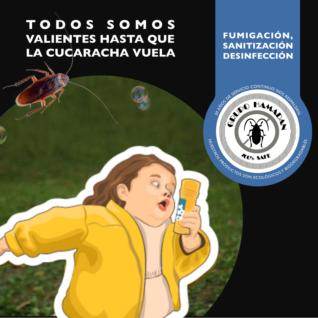 HamadanCv's tweet image. Todos somos valientes hasta que la cucaracha vuela. Si este es uno de tus miedos, relájate y llámanos, nosotros nos encargaremos de esas terroríficas cucarachas voladoras. ¡Ten un feliz domingo!

#GrupoHamadan #ControlDePlagas #fumigadora #sanitizacion #desinfeccion #fumigacion