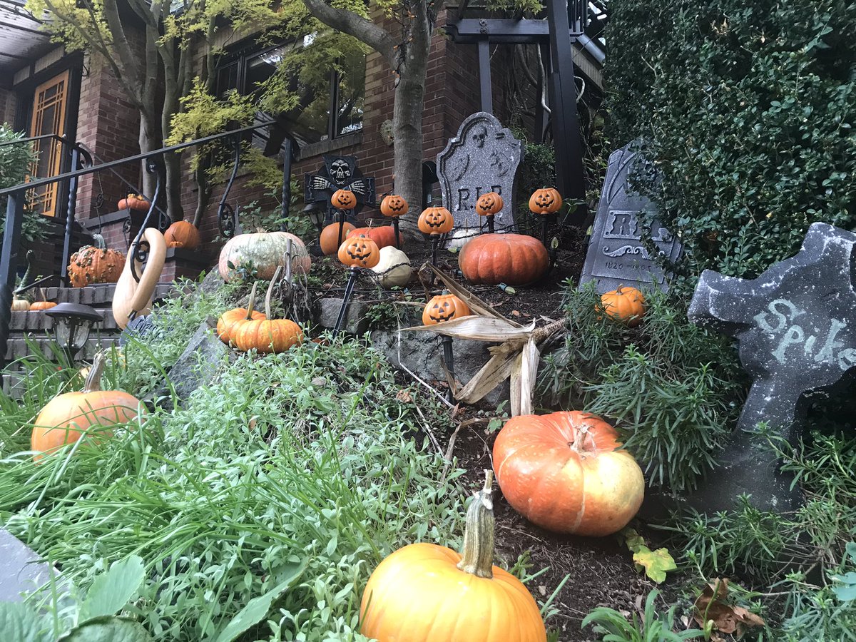 ShannonODKOMO's tweet photo. The Great Pumpkin house in north Seattle never disappoints! #Halloween #SoNorthwest https://t.co/HG5gl8ol4K