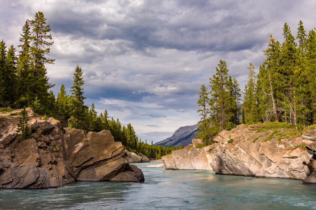 PhotoEdCANADA's tweet photo. Our #PhotoEdECO FALL 2021 - DIGITAL EXTRA EDITION is NOW LIVE! + it's FREE!
Check out more work by Canadian photographers like Jens Gaethje, exploring eco issues through photography!
https://t.co/2USx4xJQw2 https://t.co/uy5vr8mfW2