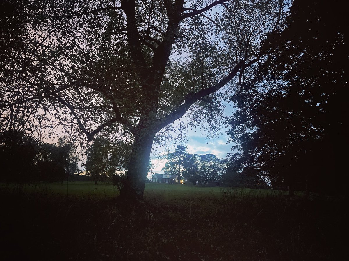 Autumnal evening walking — I like the way scenes like this can seem particularly magical at this time of year.

How’s your weekend going?

Duncan