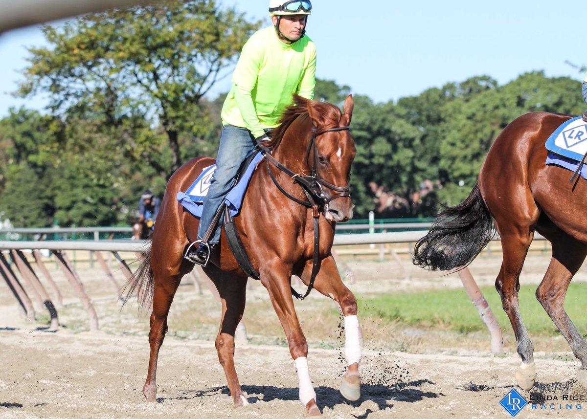 LindaRiceRacing's tweet photo. Good Culture &amp; Johnnypump run in race 4 at Belmont today and Red Fortress debuts in race 5. Good luck to the connections! https://t.co/7qSxVAGhH9