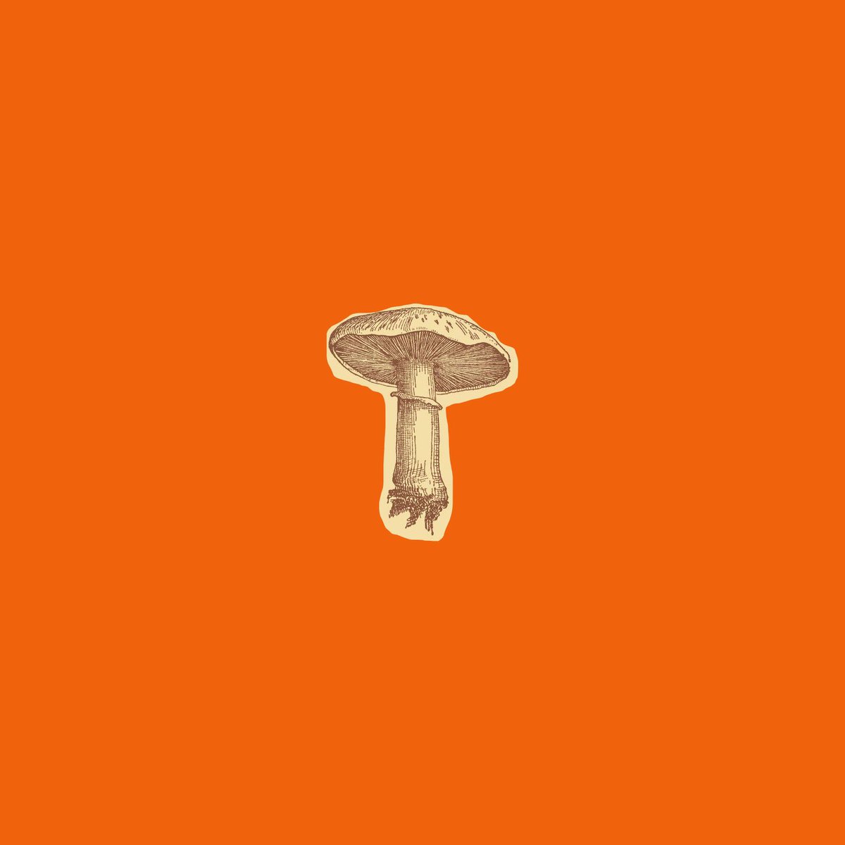 CalCarterMaine's tweet photo. New double single dropping oct. 21st “Side A: Trippin’/ Side B: CTFO” written &amp; produced by me. https://t.co/Fb7Ym416wS