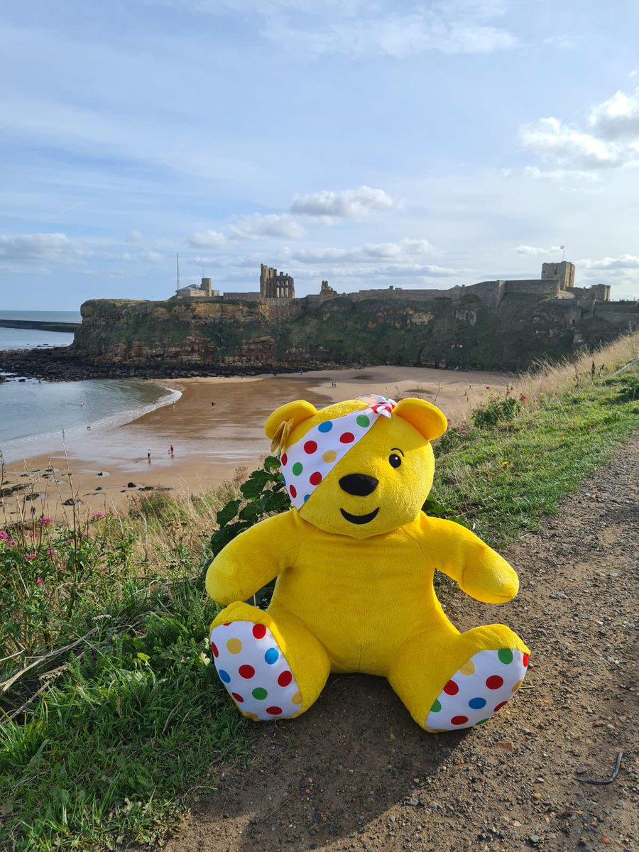 Steve Murrell tweet media