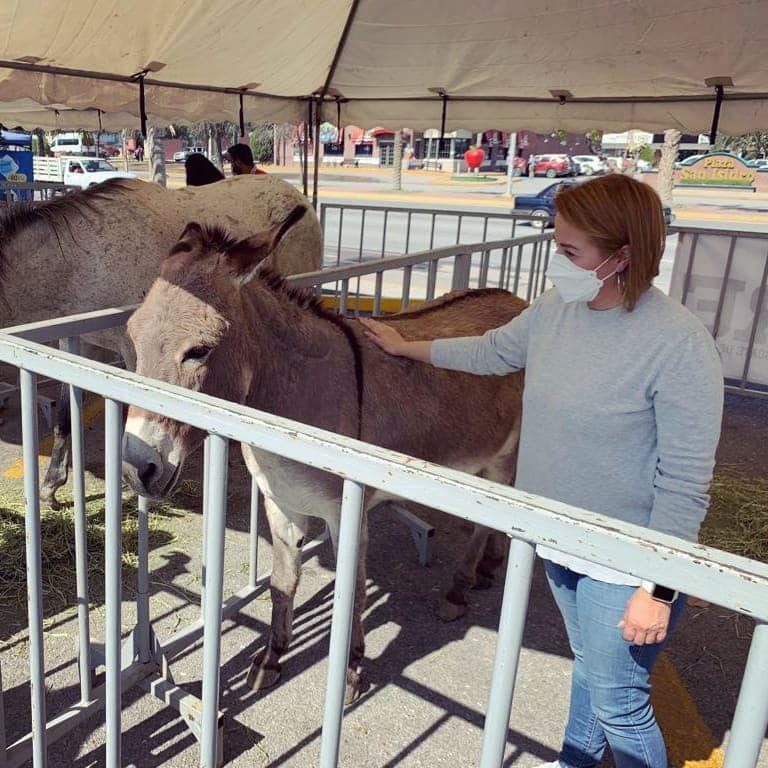 claudiardz55's tweet photo. Aquí en el "Burrotón" sorprendida con el gran trabajo de la Asociación Civil Activista #ARRE ; reconozco su gran labor y compromiso con todos los animalitos. ¡Muchas felicidades! #NoMaltrates #Apoyemos 🐴🐕🐎🐈 https://t.co/C7FjIXipzW