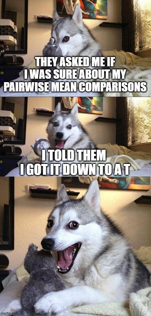 miguel_fudolig's tweet photo. Working on client stuff during fall break made me think of this meme

#statsjokes https://t.co/7DKnC4AqBZ