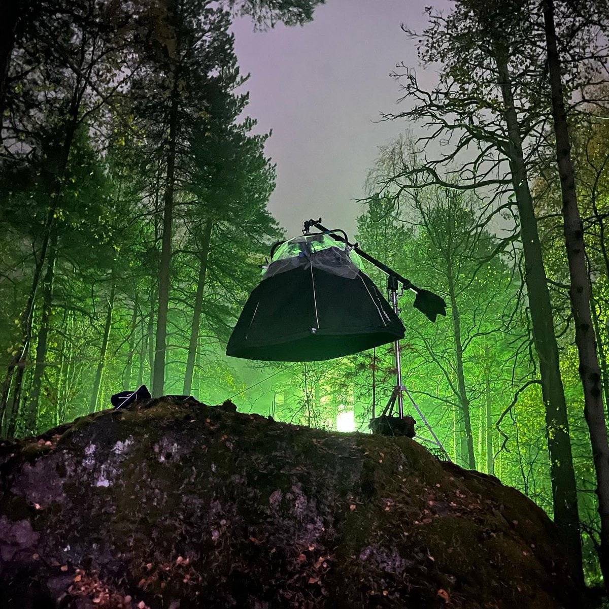 Stefan Karle tweet media