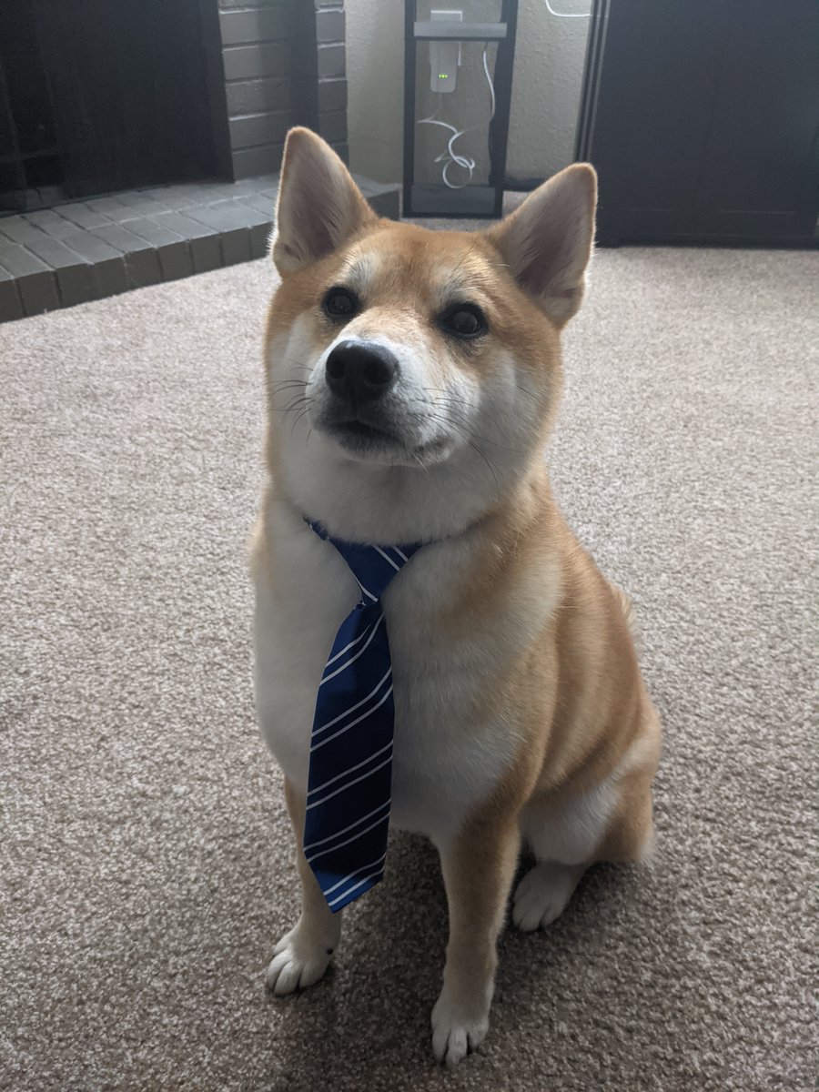 Khaios tweet media