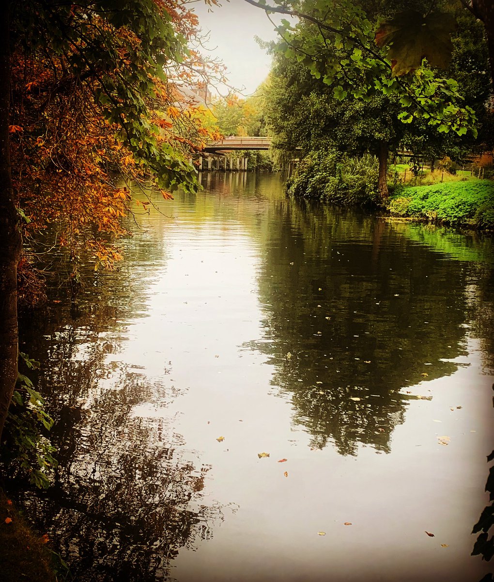 Autumnal walk by the river today 🍁🍂#riverwensumnorwich #norwich #riverwalks #autumn #sundaystroll #norwichlife #beauty #reflections #followtheriver #autumndays  #norfolk #uk