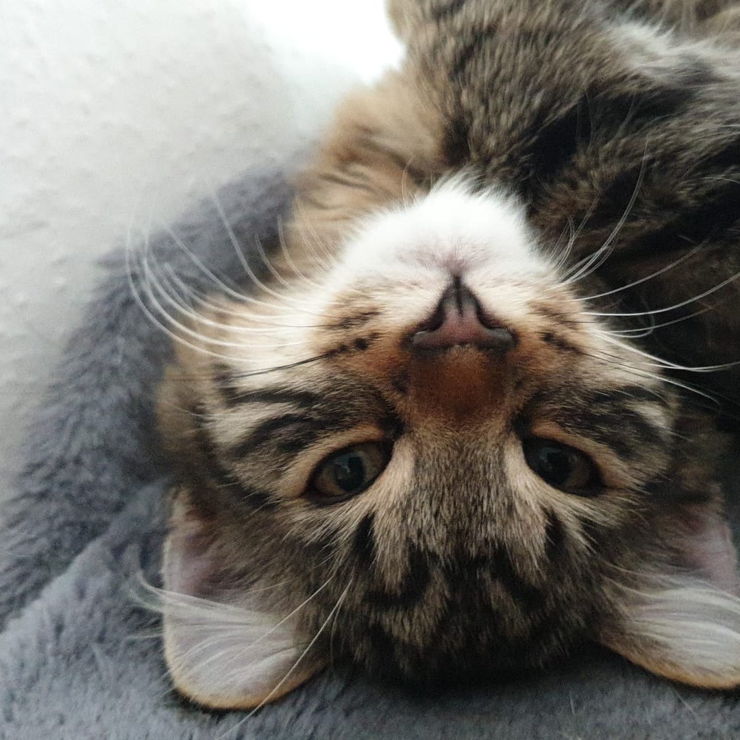 blue_w1nd (@xxw1ndxx) on Twitter photo 