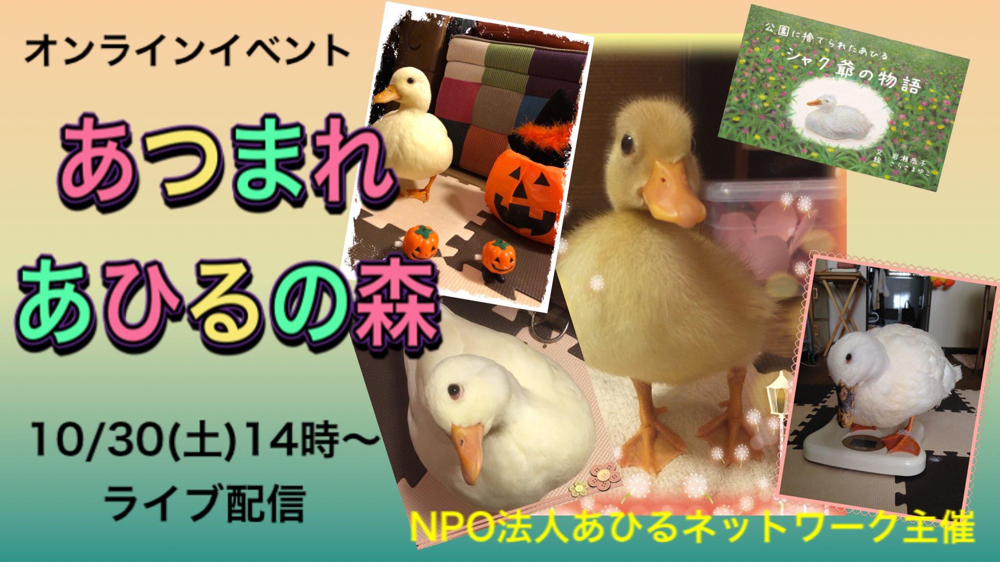 Tomoko Tomokomeme Twitter