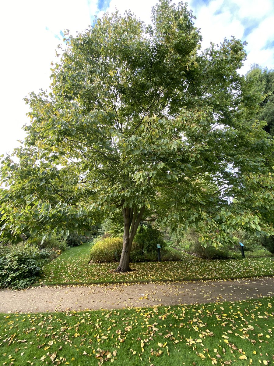 Paul Barney tweet media