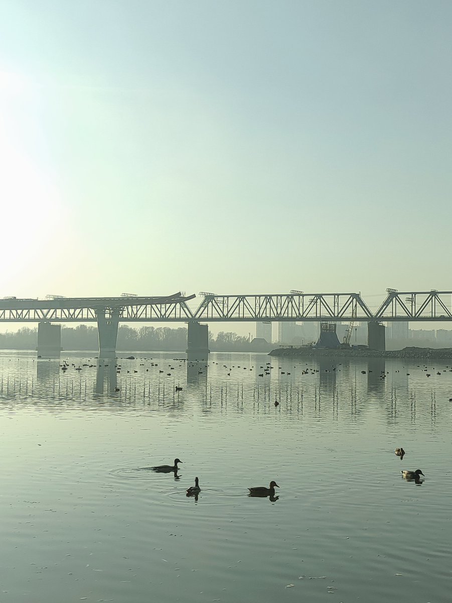 chiffrygaming's tweet image. Today&apos;s tripod walk (2/3)

#PocoX3 #TheCapturedCollective