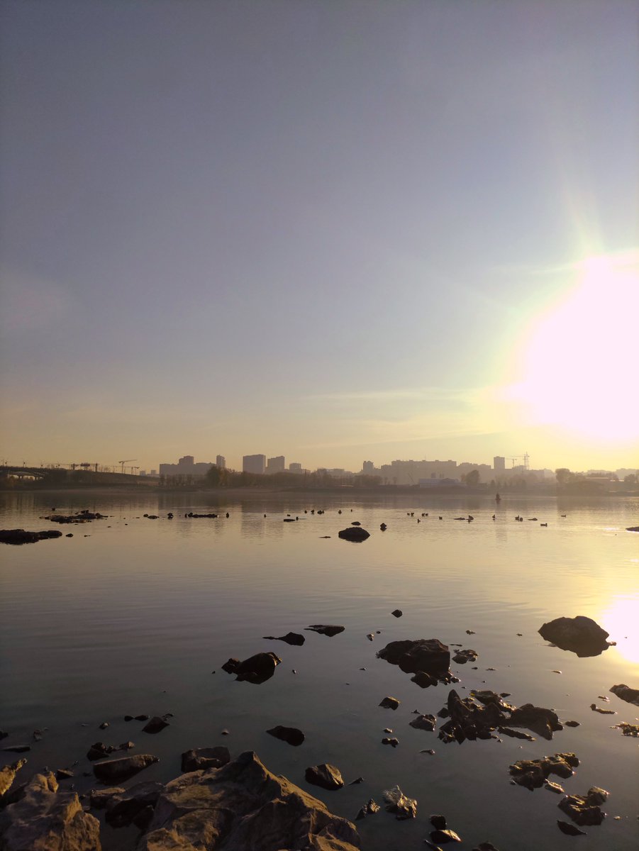 chiffrygaming's tweet image. Today&apos;s tripod walk (2/3)

#PocoX3 #TheCapturedCollective