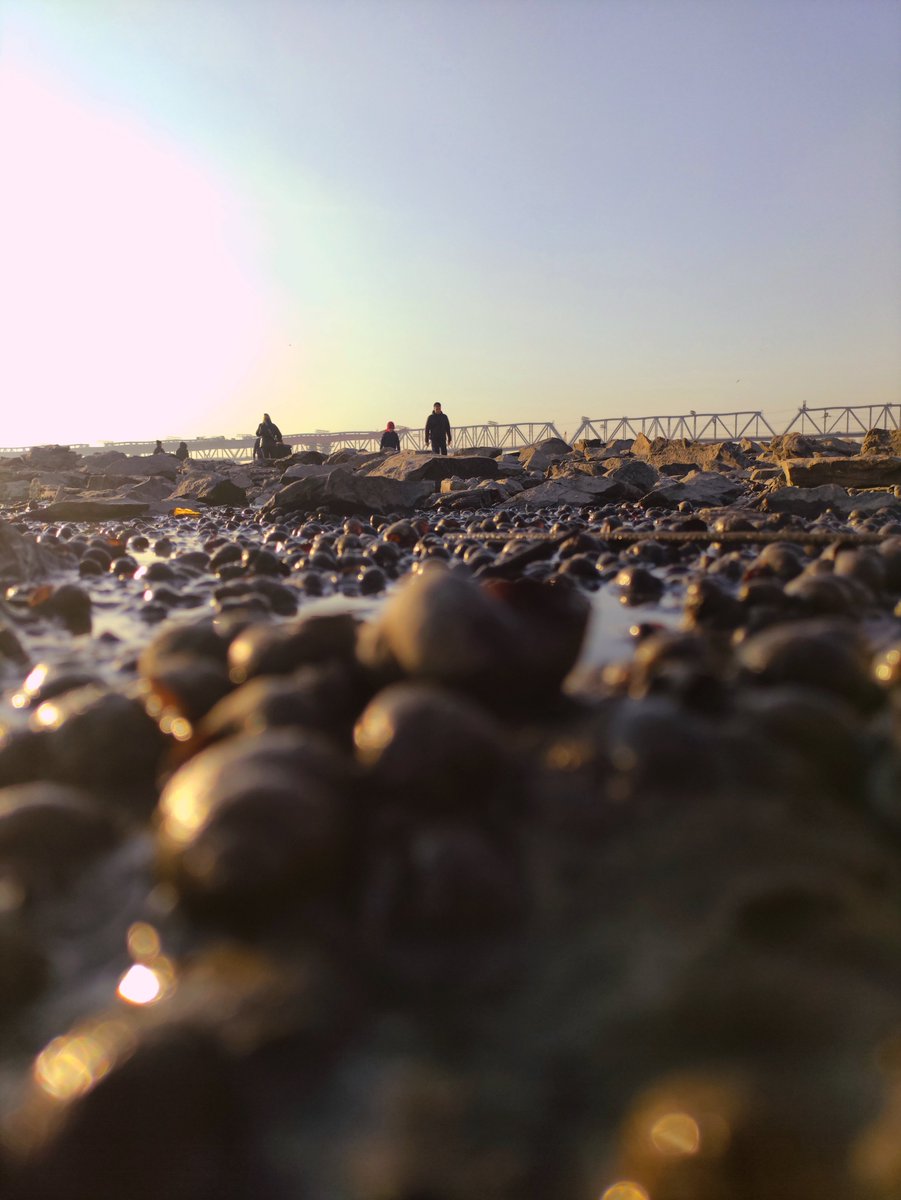 chiffrygaming's tweet image. Today&apos;s tripod walk (1/3)

#PocoX3 #TheCapturedCollective