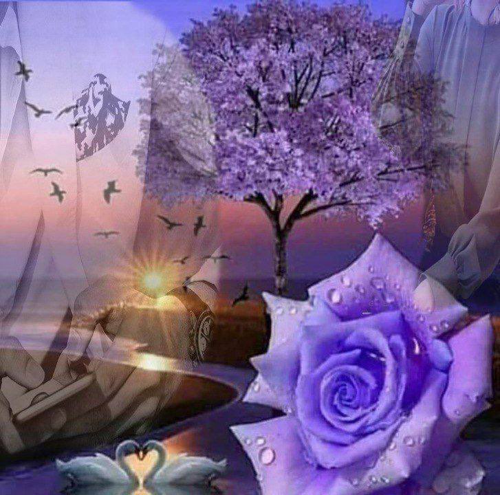 كن كالوردة  تعطى عطرها حتى لسارقها

ولا تكن كالشوكة تؤذى يد ماسكها🌺