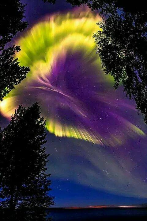 ZoneAstronomy03's tweet photo. Northern lights in the sky over Murmansk region, Russia! https://t.co/KPf4N249H8
