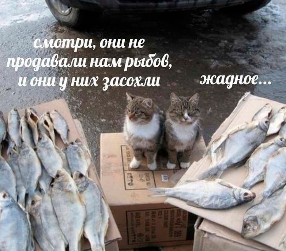 dm_eliseev's tweet photo. https://t.co/ziGIAMiSiT