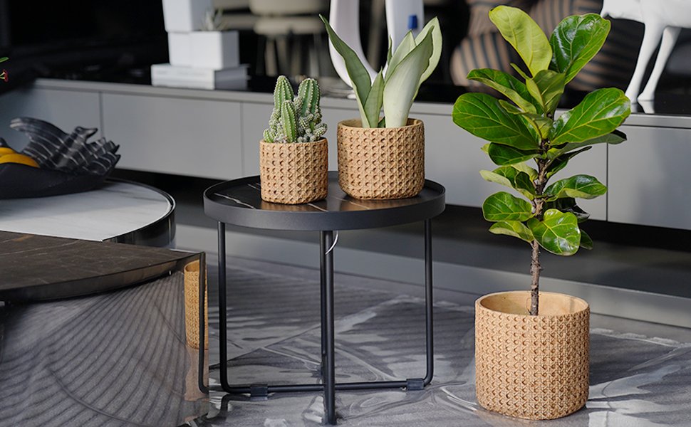 stagedhomescom's tweet photo. Product Of The Week: Weave Pattern Ceramic Flower Pots https://t.co/GzyEBgb3gK #home #staging #business https://t.co/GgrIcbECX7