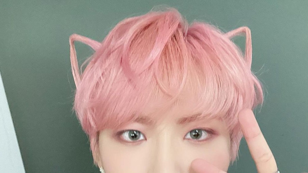 seonghwascats's tweet photo. https://t.co/gKcSL57Wj6