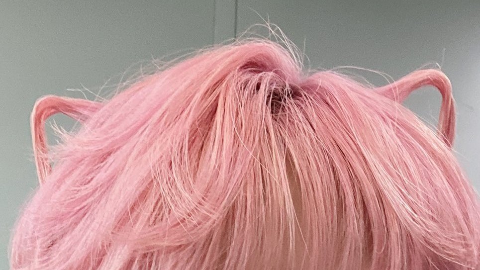 seonghwascats's tweet photo. https://t.co/gKcSL57Wj6