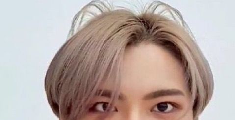 seonghwascats's tweet photo. https://t.co/gKcSL57Wj6
