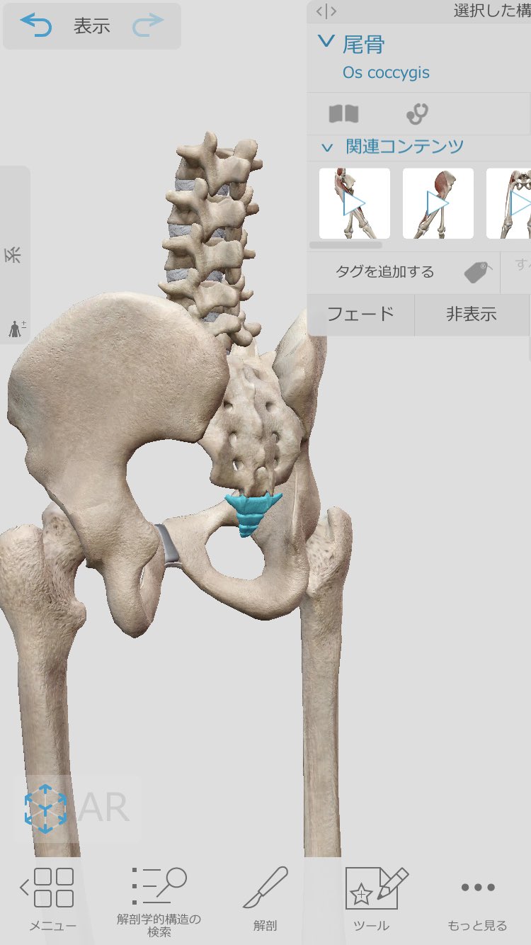 尾骨 Twitter Search Twitter