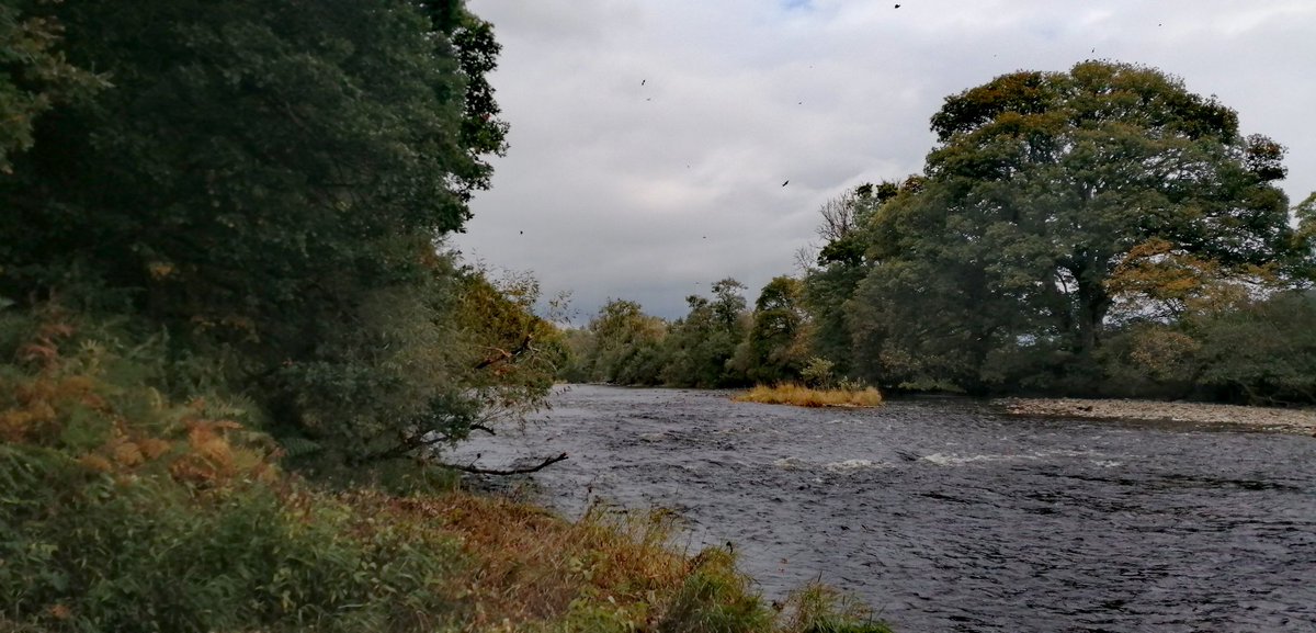 smoggiewalks's tweet photo. Heart of Wales line trail-Newbridge to Builth #revisted #riverwye #explorelocal #discoverlocal #getoutside @DerekTheWeather @OrdnanceSurvey @HeartofWales1 https://t.co/FMdWdZLmLC
