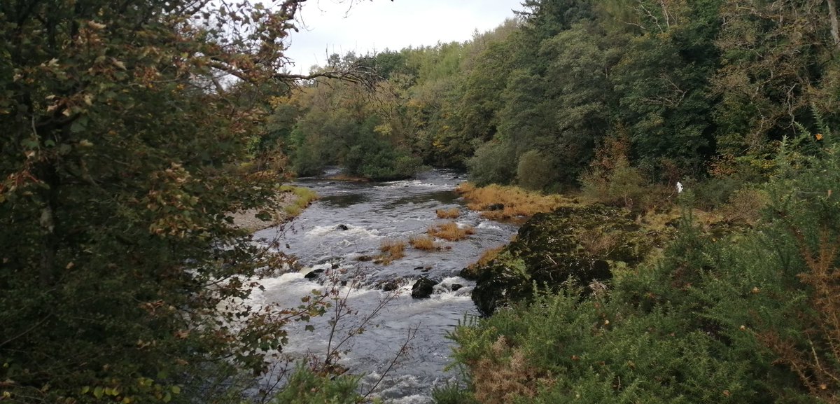 smoggiewalks's tweet photo. Heart of Wales line trail-Newbridge to Builth #revisted #riverwye #explorelocal #discoverlocal #getoutside @DerekTheWeather @OrdnanceSurvey @HeartofWales1 https://t.co/FMdWdZLmLC