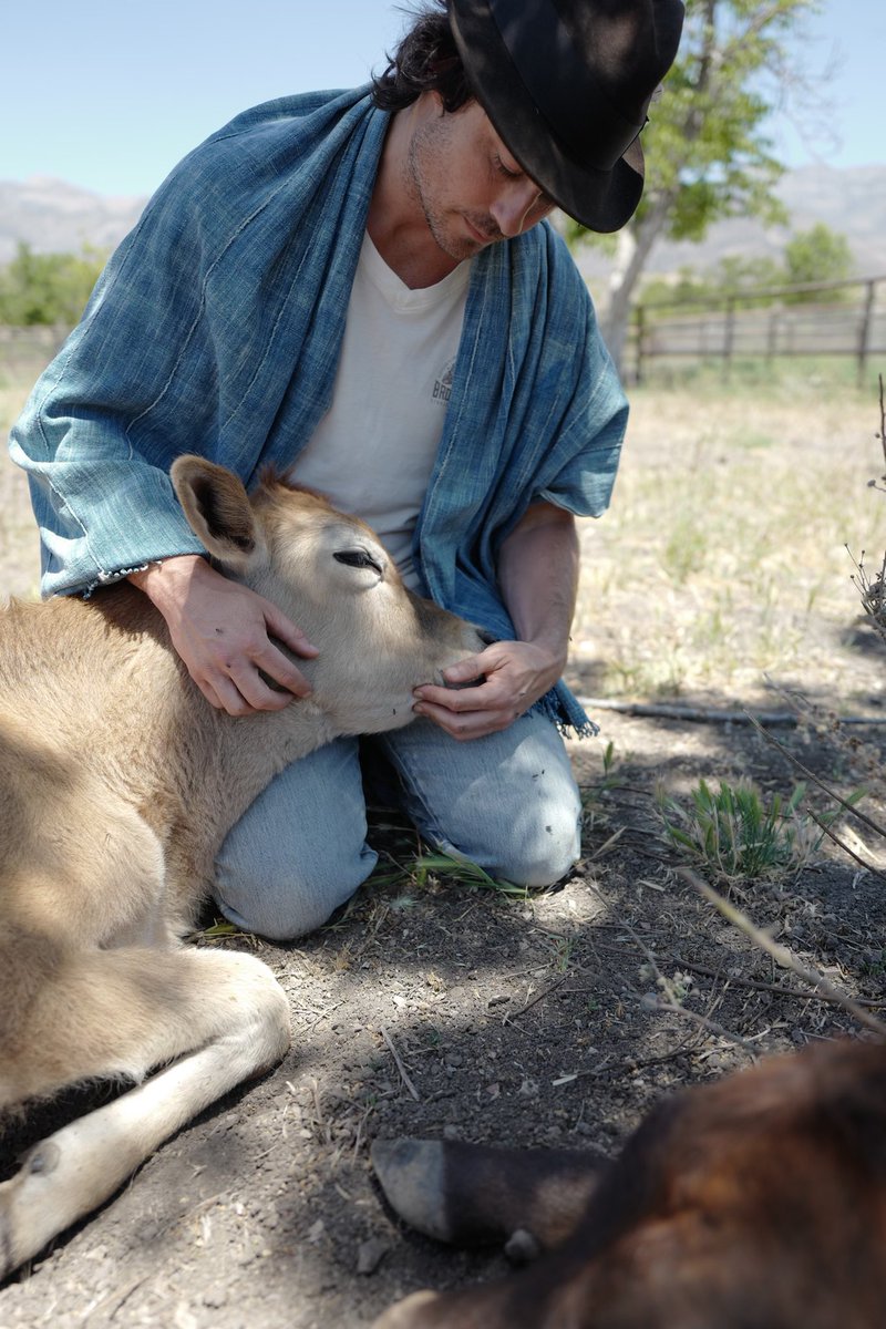 iansomerhalder tweet picture