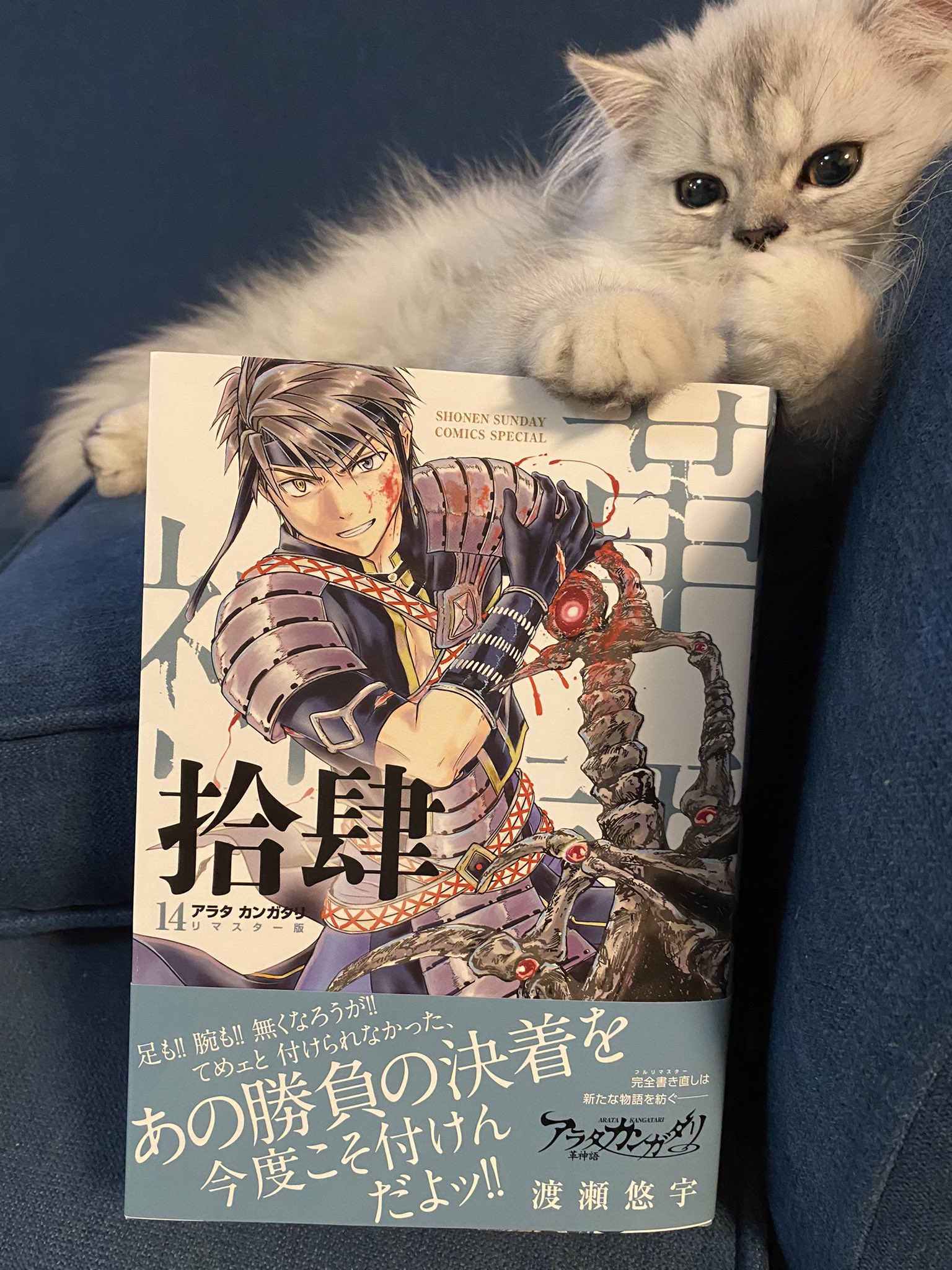 渡瀬悠宇情報 公式 Watasestaff Twitter
